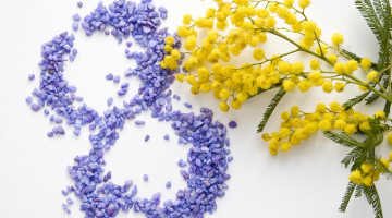 Вітаємо з 8 березня!